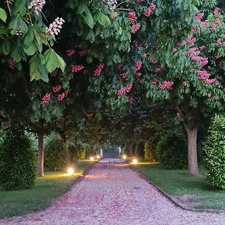 Le Manoir Des Marronniers Sully