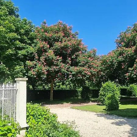 Le Manoir Des Marronniers Maison d'hôtes